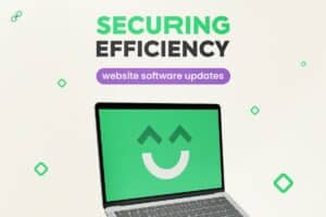 Securing Efficiency: Website Software Updates